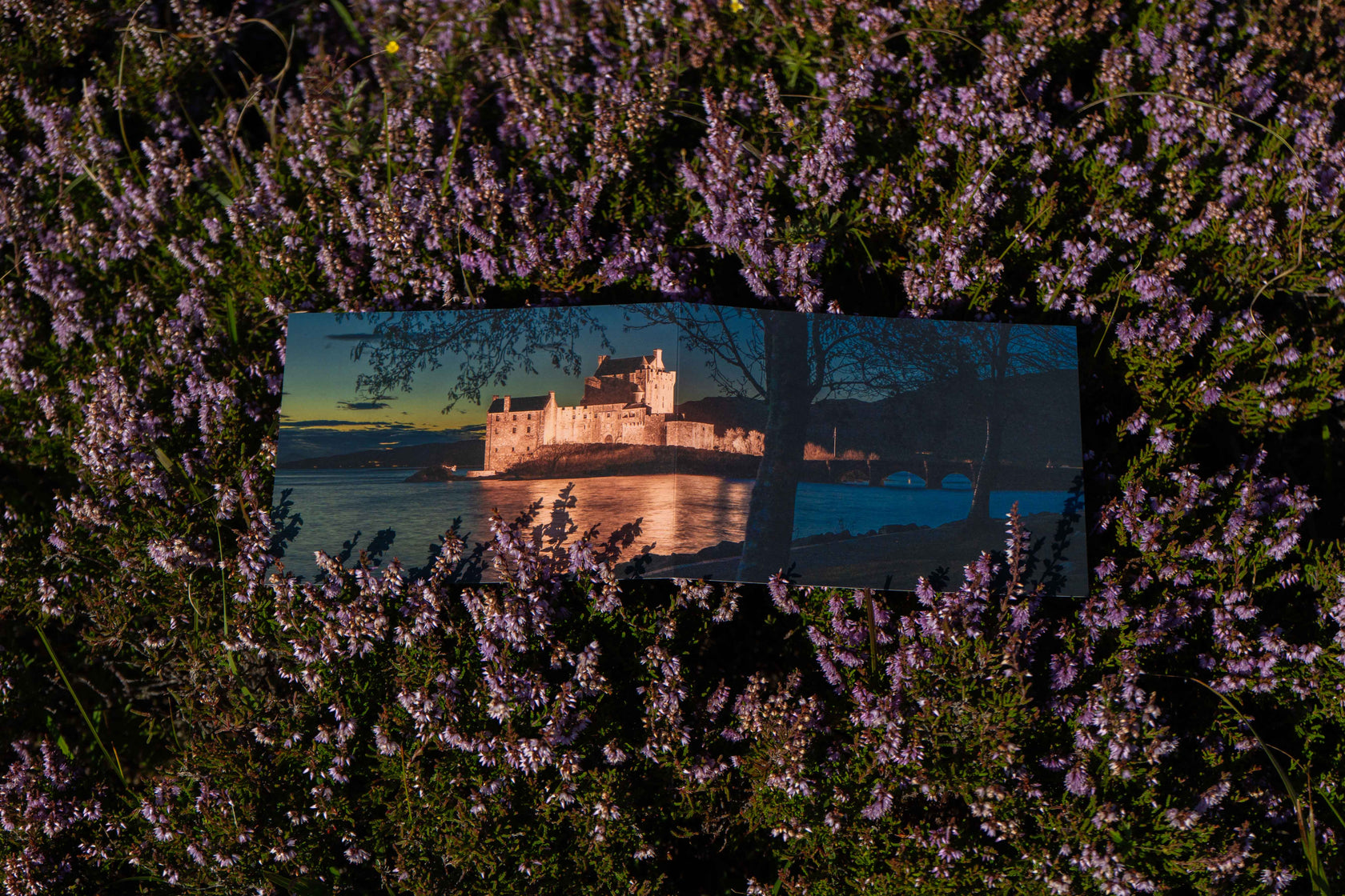Applecross Gallery - Photography By Jack Marris Greeting Card, Eilean Donan Castle, Photographed by Jack Marris Greeting Card, Eilean Donan Castle, Photographed by Jack Marris