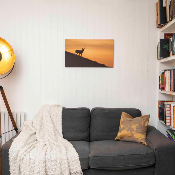 Applecross Photographic Gallery Image Medium Canvas 28"x16" Torgarve Stag, Applecross Wildlife Torgarve Stag, Applecross Wildlife