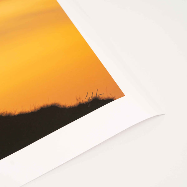 Applecross Photographic Gallery Image Torgarve Stag, Applecross Wildlife Torgarve Stag, Applecross Wildlife