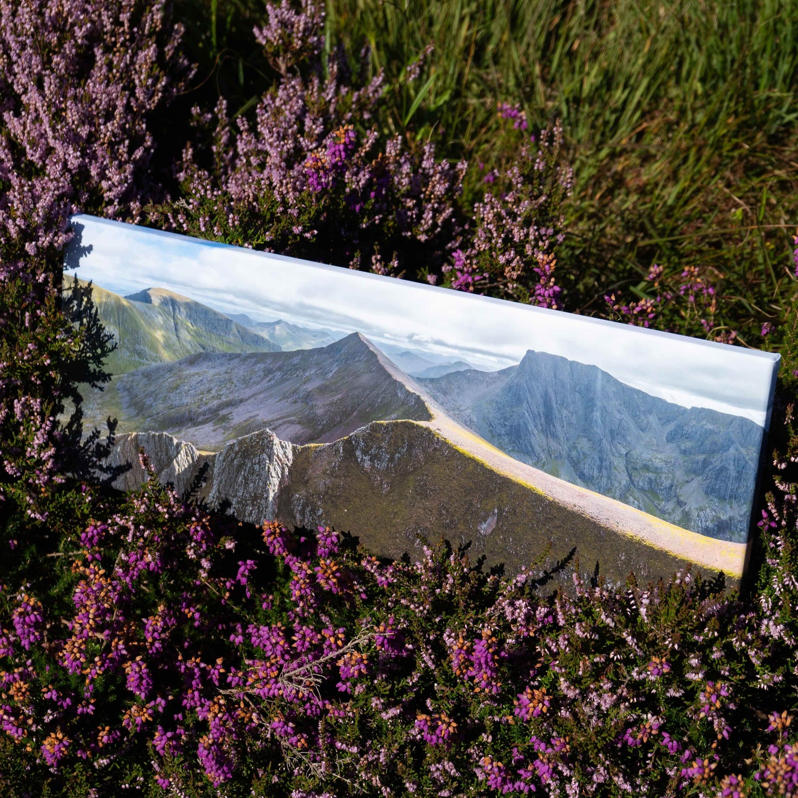 Ben Nevis By Jack Marris