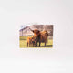 Applecross Gallery - Photography By Jack Marris Greeting Card Greeting Card, Bonnie Twins, Applecross Wildlife, Photographed By Jack Marris Greeting Card, Bonnie Twins, Applecross Wildlife, Photographed By Jack Marris