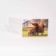 Applecross Gallery - Photography By Jack Marris Greeting Card Greeting Card, Bonnie Twins, Applecross Wildlife, Photographed By Jack Marris Greeting Card, Bonnie Twins, Applecross Wildlife, Photographed By Jack Marris