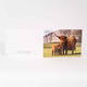 Applecross Gallery - Photography By Jack Marris Greeting Card Greeting Card, Bonnie Twins, Applecross Wildlife, Photographed By Jack Marris Greeting Card, Bonnie Twins, Applecross Wildlife, Photographed By Jack Marris