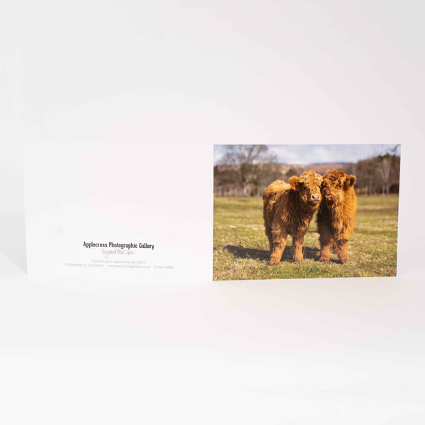 Applecross Gallery - Photography By Jack Marris Greeting Card Greeting Card, Flora and Calum, Applecross Wildlife, Photographed By Jack Marris Greeting Card, Flora and Calum, Applecross Wildlife, Photographed By Jack Marris