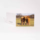 Applecross Gallery - Photography By Jack Marris Greeting Card Greeting Card, Flora and Calum, Applecross Wildlife, Photographed By Jack Marris Greeting Card, Flora and Calum, Applecross Wildlife, Photographed By Jack Marris