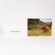 Applecross Gallery - Photography By Jack Marris Greeting Card Greeting Card, Highland Coo, Applecross Wildlife, Photographed By Jack Marris Greeting Card, Highland Coo, Applecross Wildlife, Photographed By Jack Marris