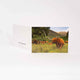 Applecross Gallery - Photography By Jack Marris Greeting Card Greeting Card, Highland Coo, Applecross Wildlife, Photographed By Jack Marris Greeting Card, Highland Coo, Applecross Wildlife, Photographed By Jack Marris