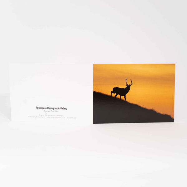 Applecross Gallery - Photography By Jack Marris Greeting Card Greeting Card, Stag Silhouette, Applecross Wildlife, Photographed By Jack Marris Greeting Card, Stag Silhouette, Applecross Wildlife, Photographed By Jack Marris