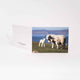 Applecross Gallery - Photography By Jack Marris Greeting Card Greeting Card, Twin Lambs, Applecross Wildlife, Photographed by Jack Marris Greeting Card, Twin Lambs, Applecross Wildlife, Photographed by Jack Marris