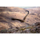 Applecross Gallery - Photography By Jack Marris Greeting Card Greeting Card, White Tailed Eagle, Applecross Wildlife, Photographed By Jack Marris Greeting Card, White Tailed Eagle, Applecross Wildlife, Photographed By Jack Marris