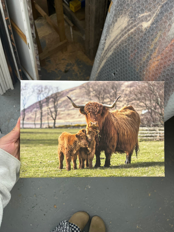 Applecross Gallery - Photography By Jack Marris Outlet Bonnie Twins Photographed by Jack Marris Canvas 12x8 inches Outlet Bonnie Twins Photographed by Jack Marris Canvas 12x8 inches