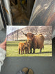 Applecross Gallery - Photography By Jack Marris Outlet Bonnie Twins Photographed by Jack Marris Canvas 12x8 inches Outlet Bonnie Twins Photographed by Jack Marris Canvas 12x8 inches