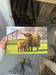 Applecross Gallery - Photography By Jack Marris Outlet Bonnie Twins Photographed by Jack Marris Canvas 12x8 inches Outlet Bonnie Twins Photographed by Jack Marris Canvas 12x8 inches