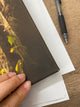Applecross Gallery - Photography By Jack Marris Outlet Faoilinn Stag Photographed by Jack Marris Canvas 24x16 inches Outlet Faoilinn Stag Photographed by Jack Marris Canvas 24x16 inches