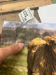 Applecross Gallery - Photography By Jack Marris Outlet Flora and Calum Photographed by Jack Marris Canvas 12x8 inches Outlet Flora and Calum Photographed by Jack Marris Canvas 12x8 inches