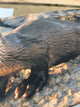 Applecross Gallery - Photography By Jack Marris Outlet Otter Photographed by Jack Marris Canvas 12x8 inches Outlet Otter Photographed by Jack Marris Canvas 12x8 inches