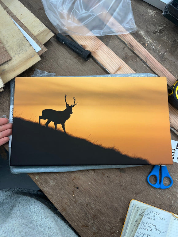 Applecross Gallery - Photography By Jack Marris Outlet Stag Silhouette Photographed by Jack Marris Canvas 14x8 inches Outlet Stag Silhouette Photographed by Jack Marris Canvas 14x8 inches
