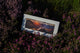 Applecross Photographic Gallery Image Beinn Alligin Sunrise, Photographed By Jack Marris Beinn Alligin Sunrise, Photographed By Jack Marris