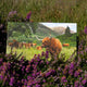 Applecross Photographic Gallery Image Highland Coo, Applecross Wildlife, Photographed By Jack Marris Highland Coo, Applecross Wildlife, Photographed By Jack Marris