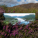 My Store Image The Ballachulish Bridge, Photographed By Jack Marris The Ballachulish Bridge, Photographed By Jack Marris